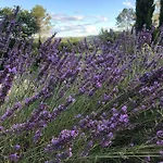 Villa Limite Gard Ardeche Avec Magnifique Vue *